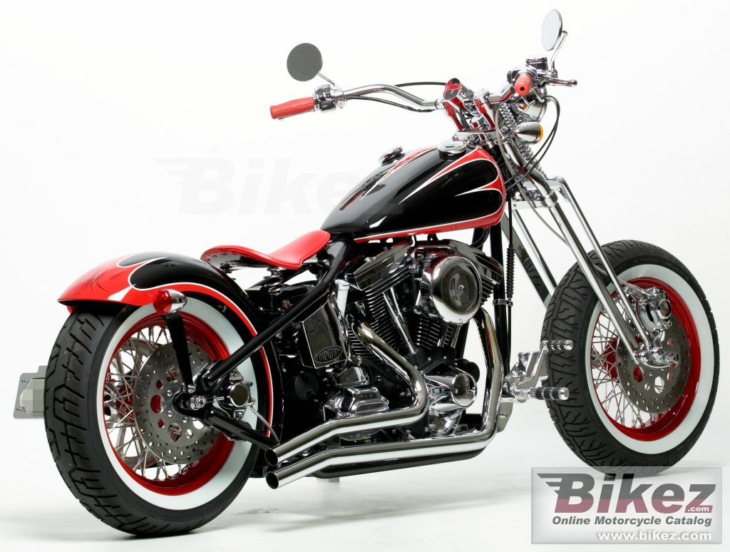 Thumbnail for Covingtons Beach Cruiser 2011