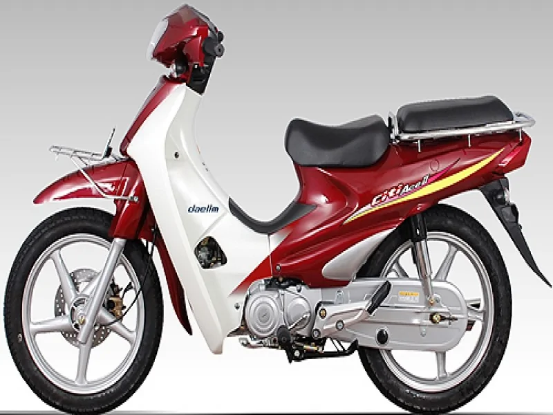 Daelim Citi Ace 110