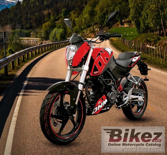 Dinamo Dnm-R2 250