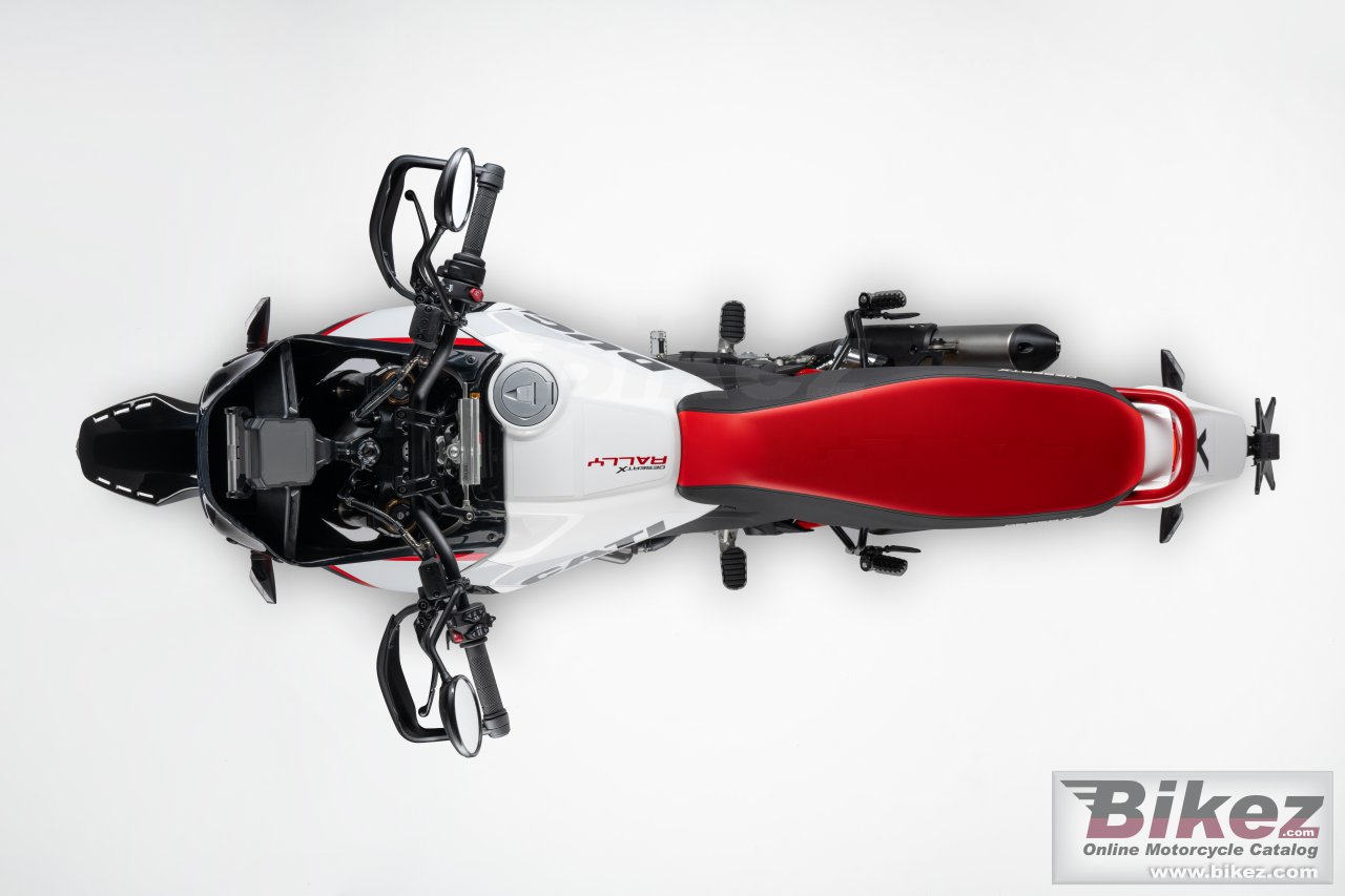 Thumbnail for Ducati DesertX Rally 2024