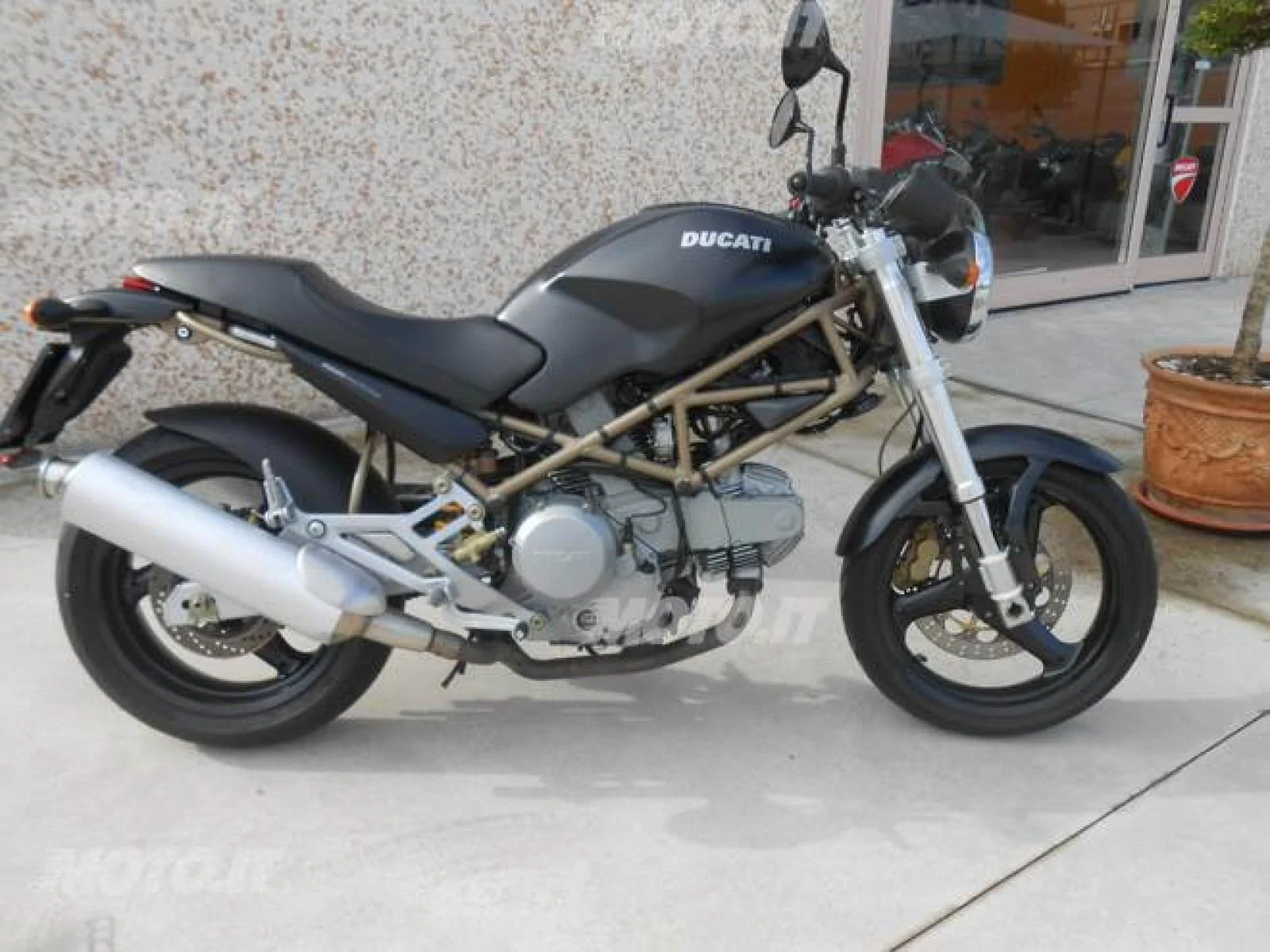 Thumbnail for Ducati Monster 600 Dark 2002