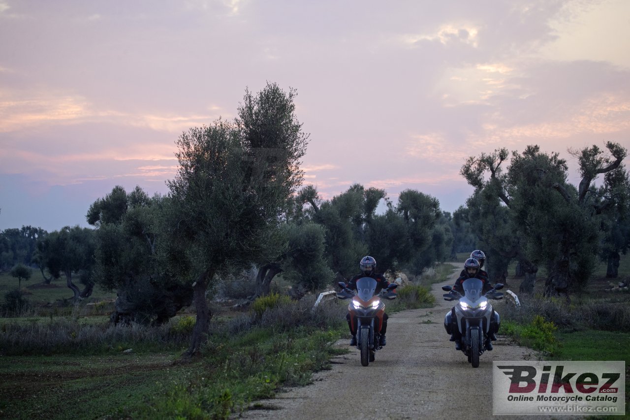 Thumbnail for Ducati Multistrada 950 2019