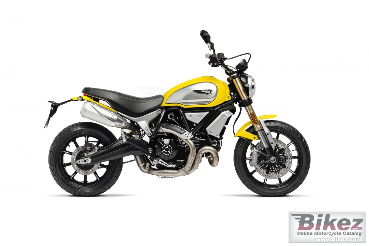 Ducati Scrambler 1100