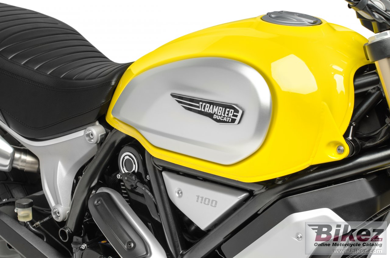 Thumbnail for Ducati Scrambler 1100 2019