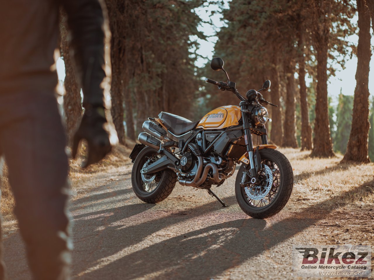 Thumbnail for Ducati Scrambler 1100 Tribute Pro 2022