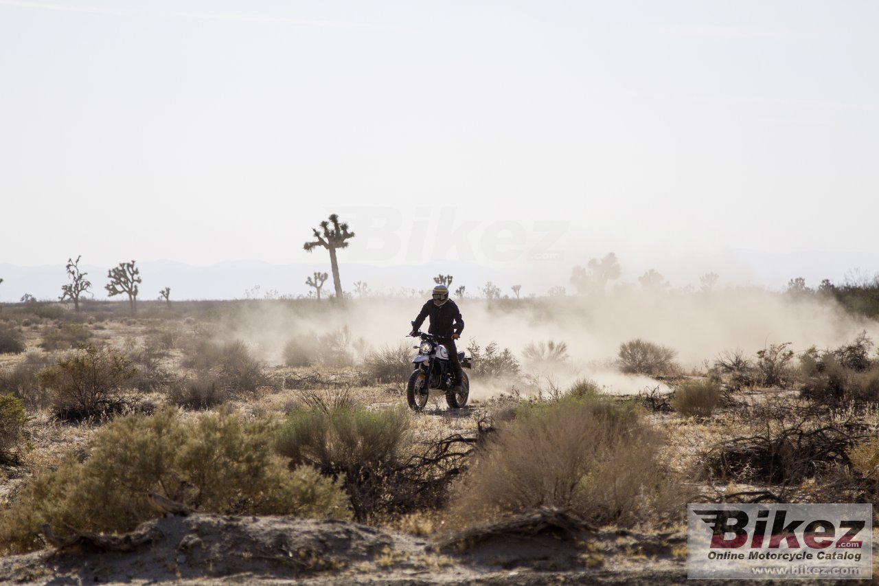 Thumbnail for Ducati Scrambler Desert Sled 2017