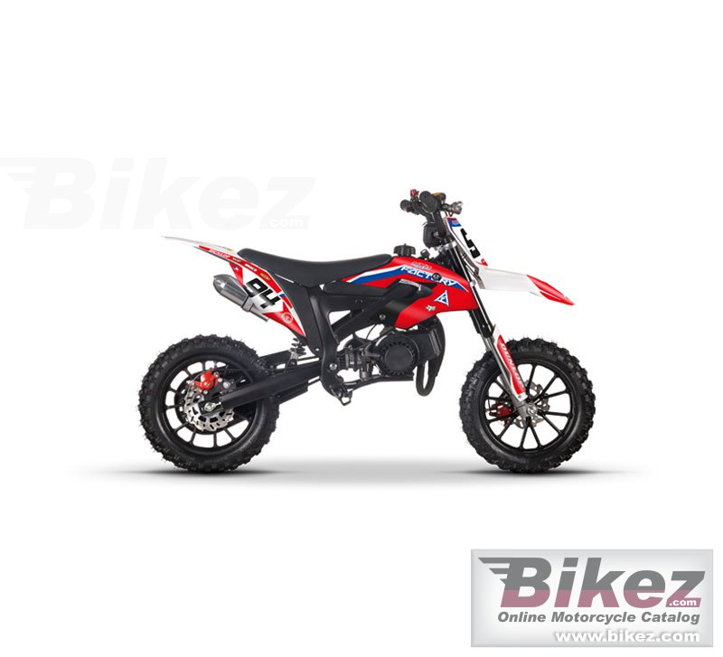 Factory Bike KXD 50 2022