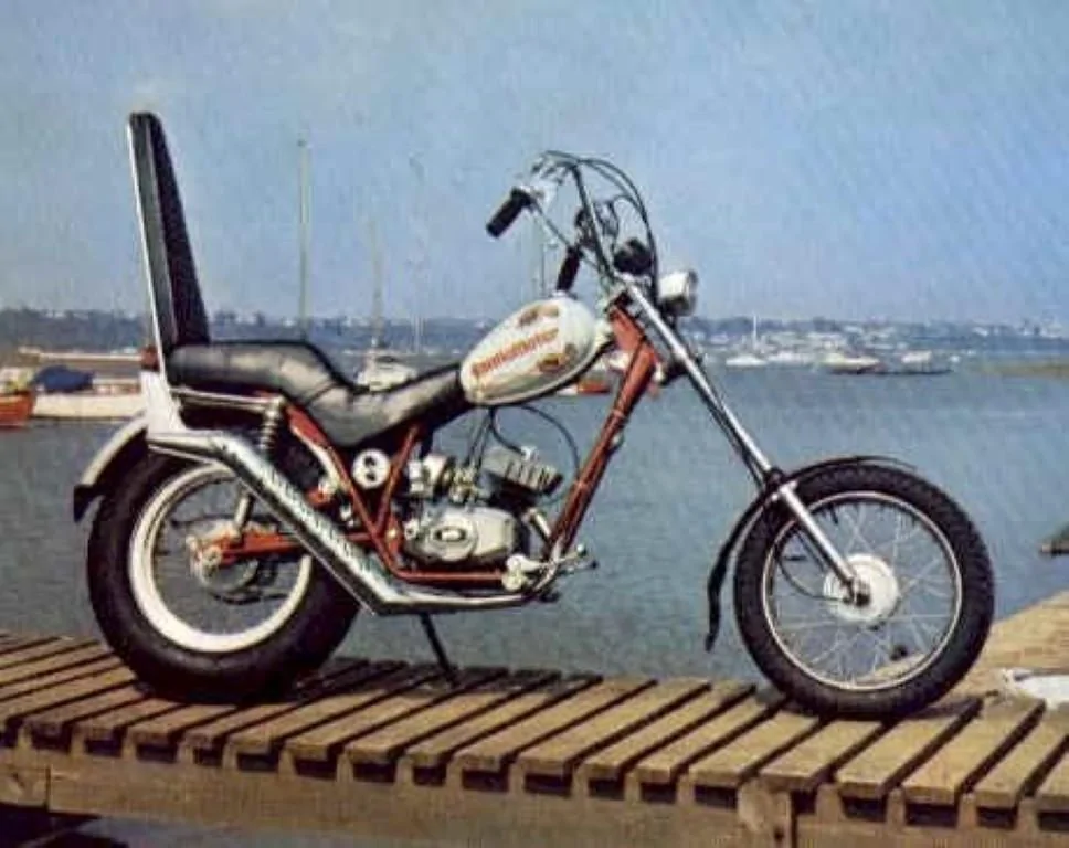 Fantic Custom