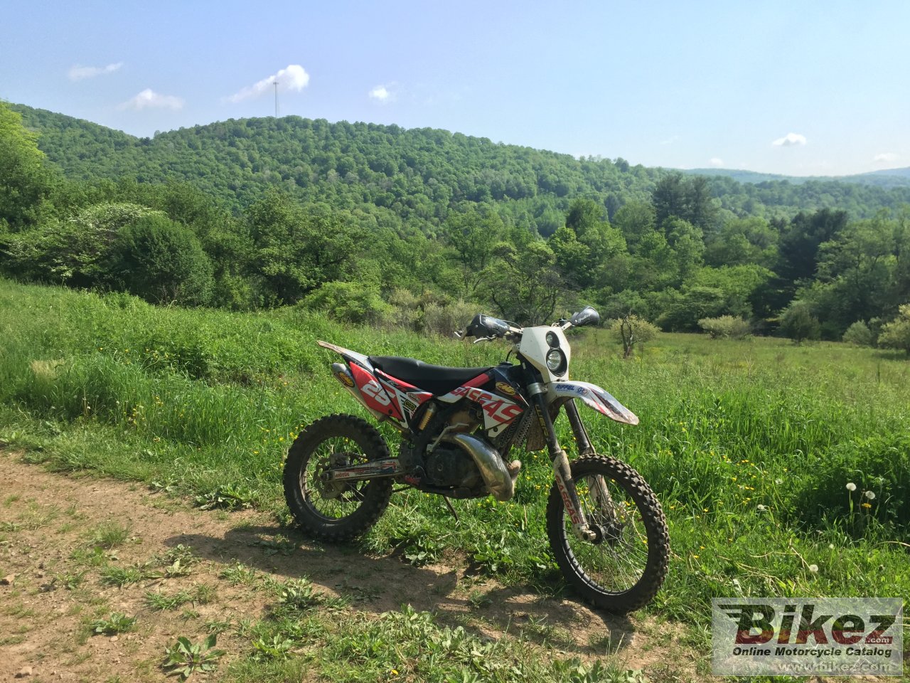 Thumbnail for GAS GAS EC250 2007