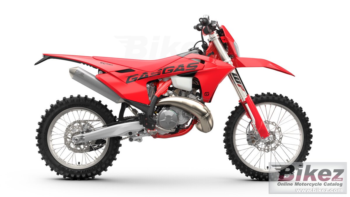 Thumbnail for GAS GAS EC 250 2025