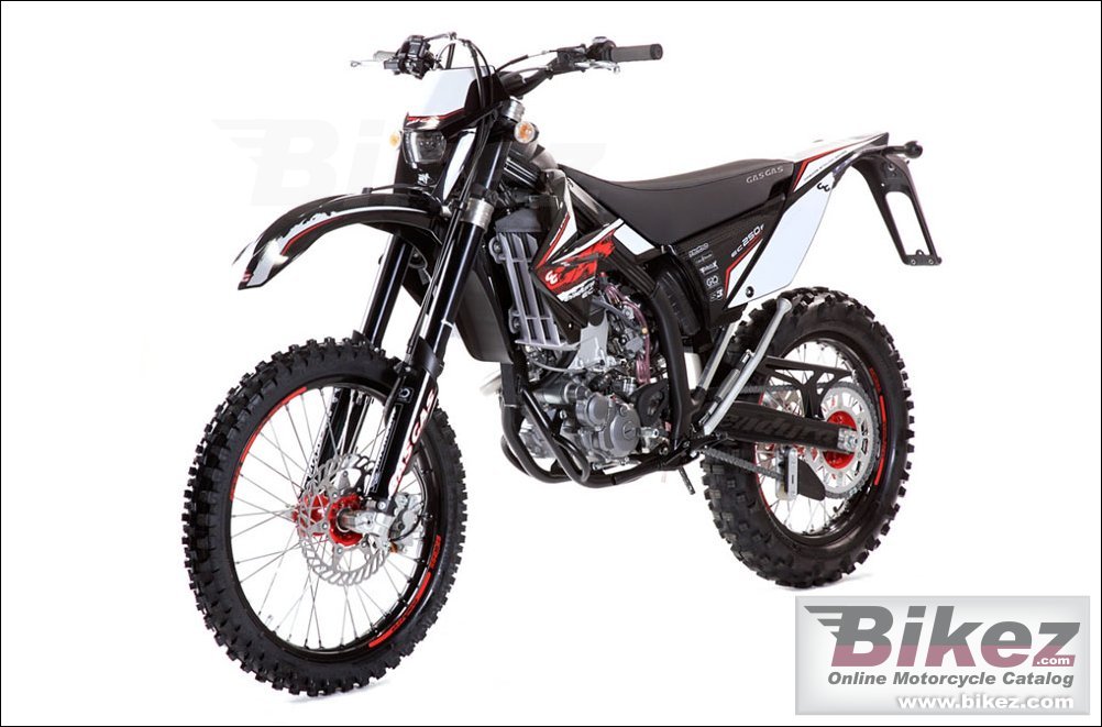 Thumbnail for GAS GAS EC 250 4T 2010