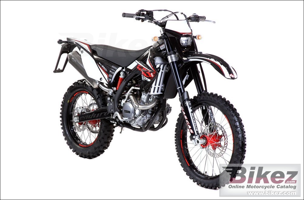 GAS GAS EC 250 4T