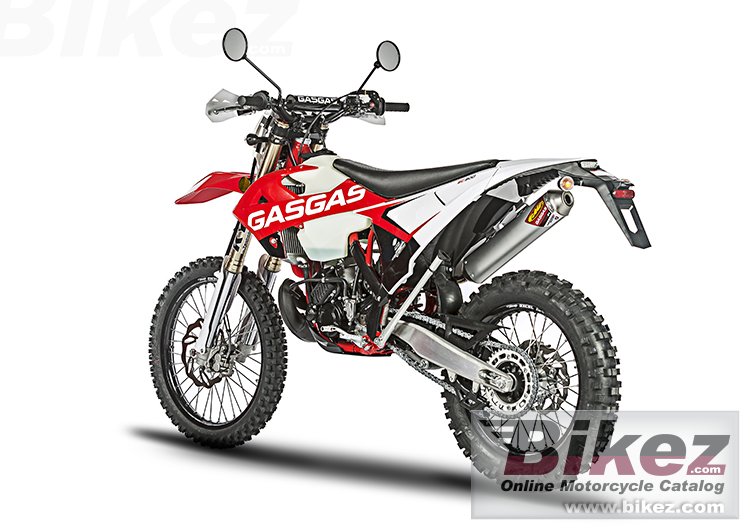 Thumbnail for GAS GAS EC 250 E4 2018