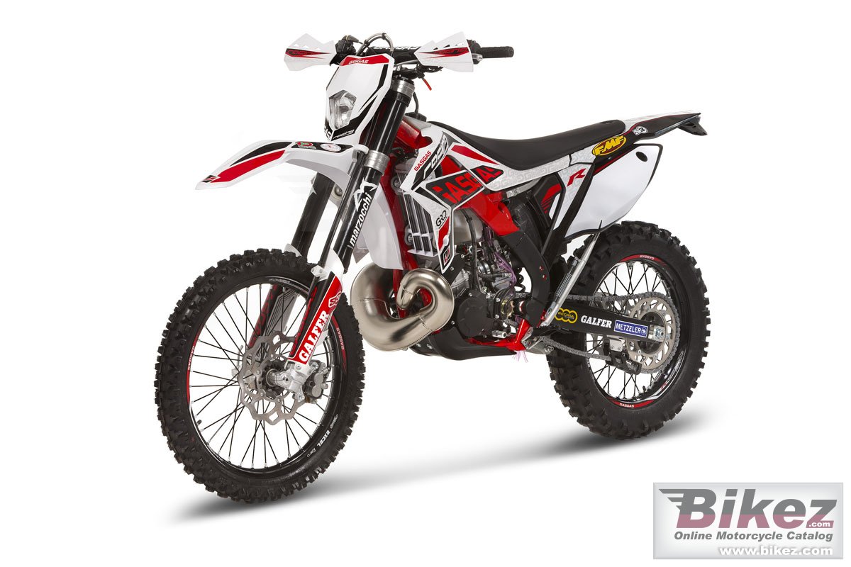 Thumbnail for GAS GAS EC 250E 2014