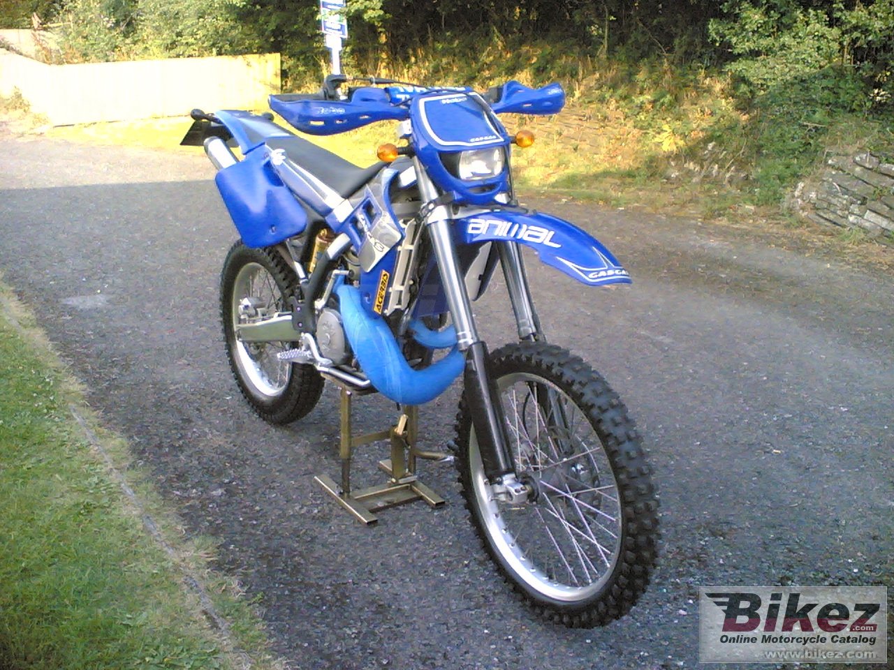 Thumbnail for GAS GAS EC 300 2002