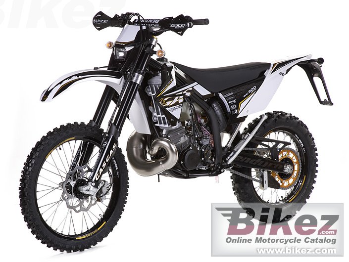 GAS GAS EC 300 2T Racing