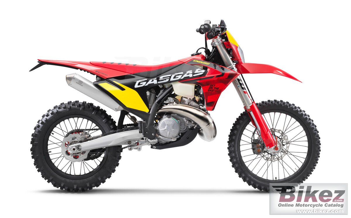 Thumbnail for GAS GAS EC 300 GP 2025