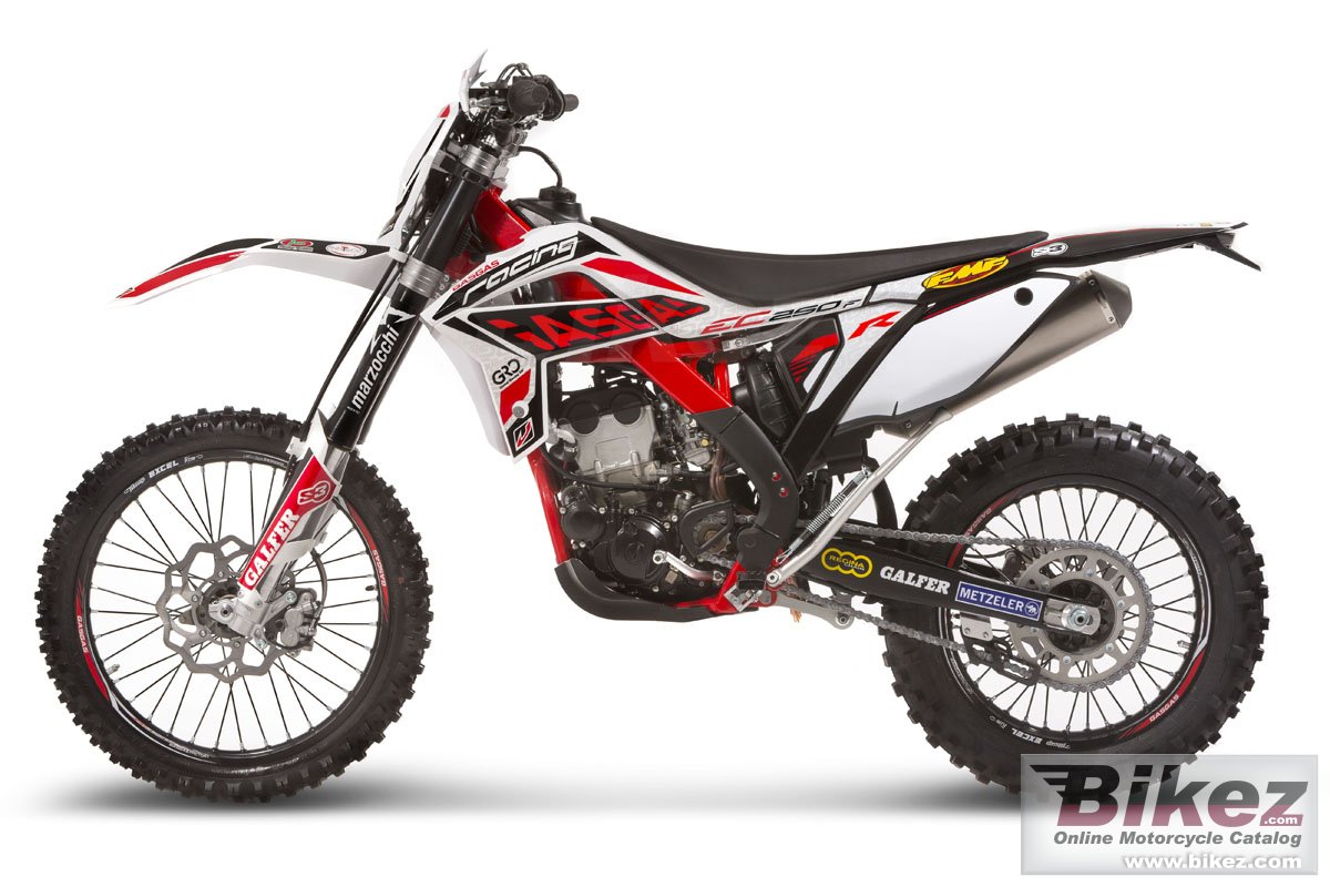 Thumbnail for GAS GAS EC Racing 300F 2014