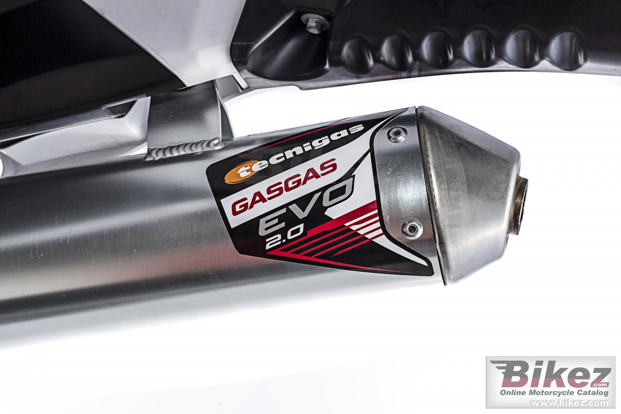 Thumbnail for GAS GAS ECRanger 300 2019