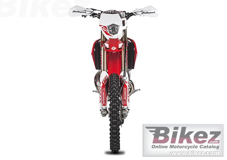 Thumbnail for GAS GAS EnduroGP 250 2018