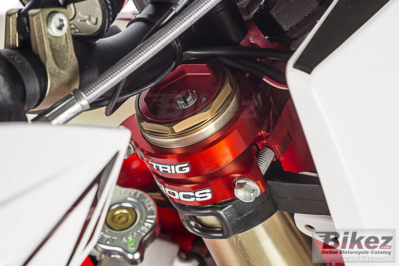 Thumbnail for GAS GAS EnduroGP 300 2018
