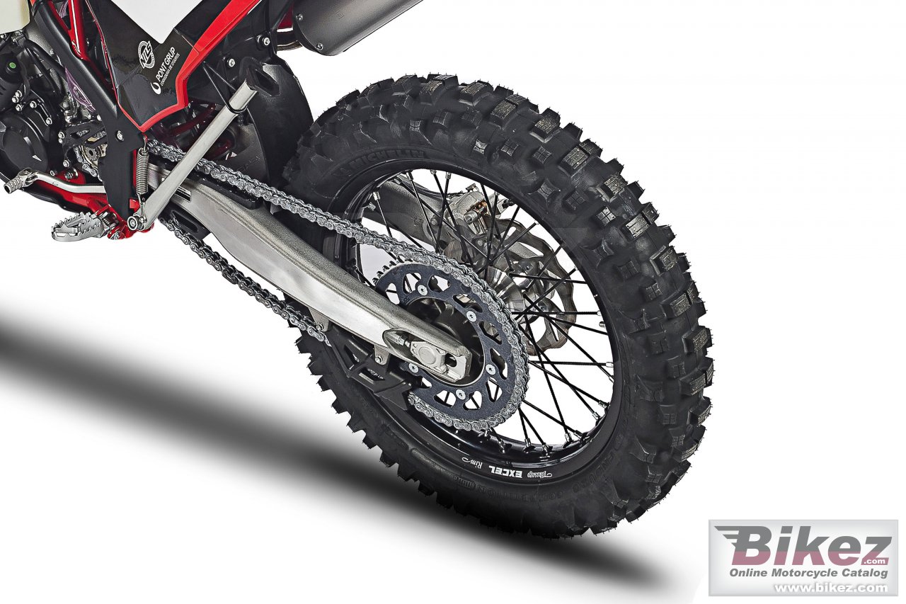Thumbnail for GAS GAS EnduroGP 300 2018