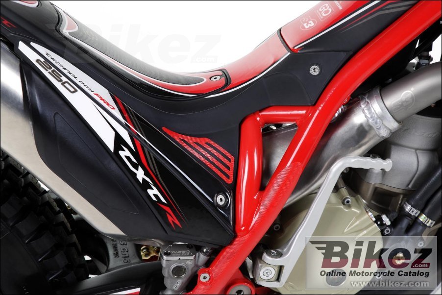 Thumbnail for GAS GAS TXT Pro Racing 125 2011