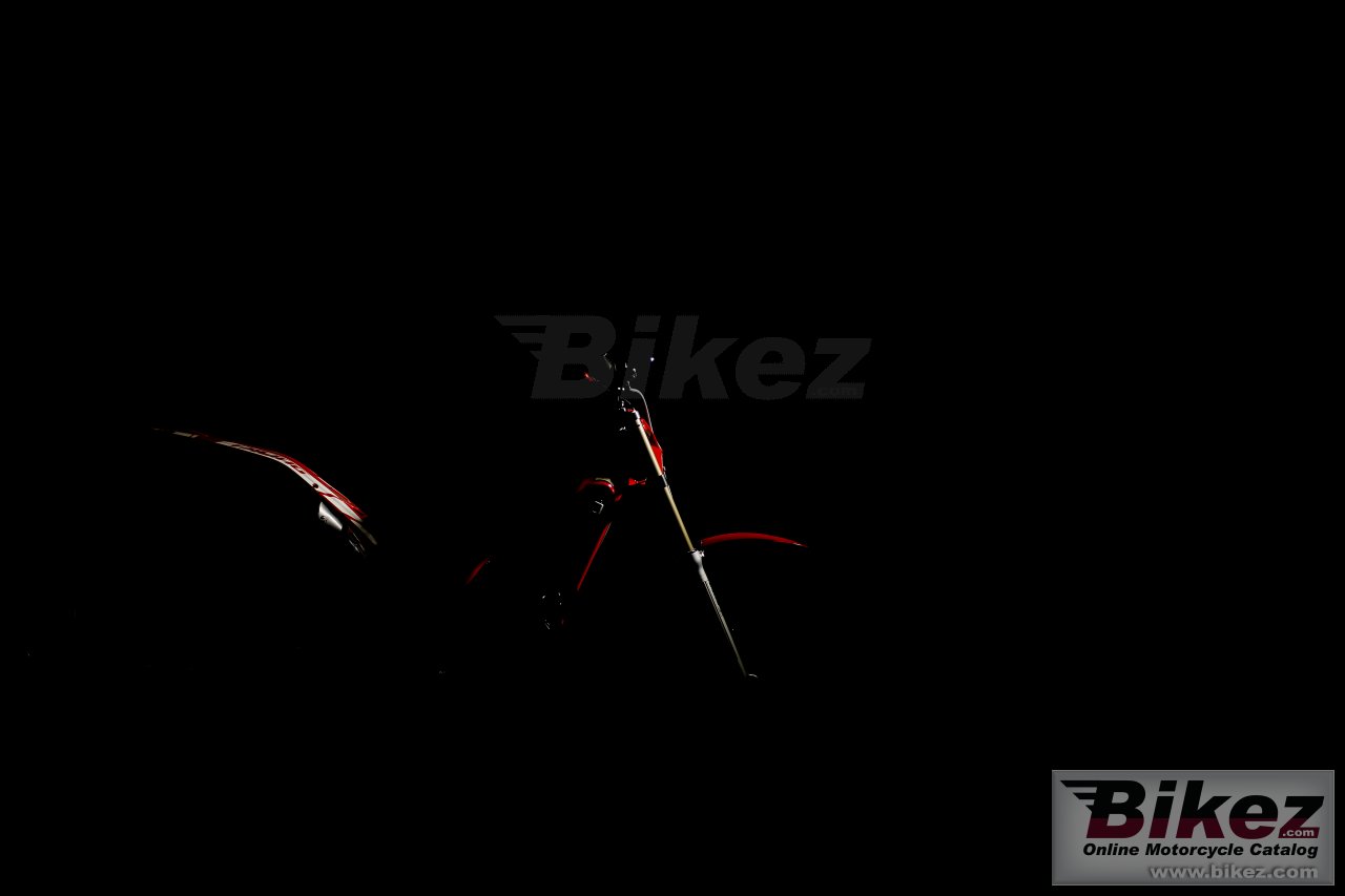 Thumbnail for GAS GAS TXT Racing 300 2019