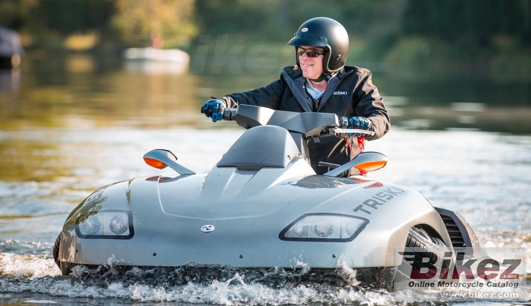 Gibbs Triski
