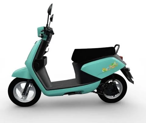 GreenTrans emoving Bobe