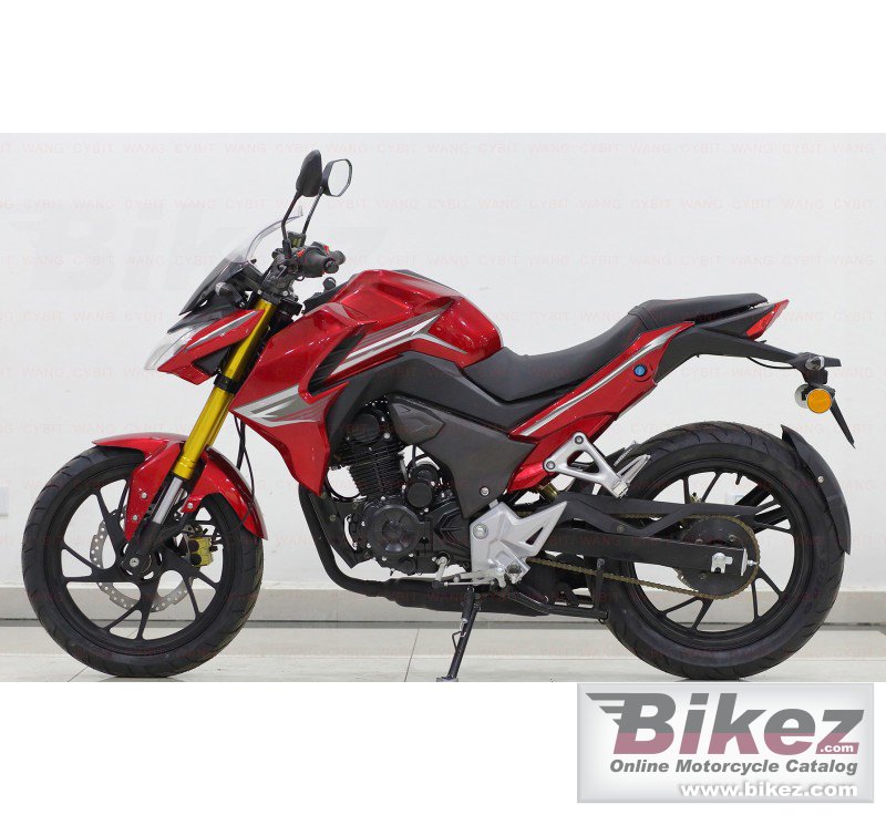 Thumbnail for Gymotor CB190 2022