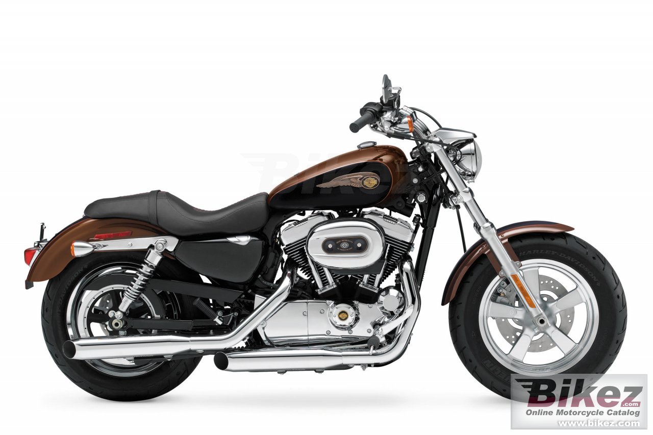 Harley-Davidson 1200 Custom 110th Anniversary