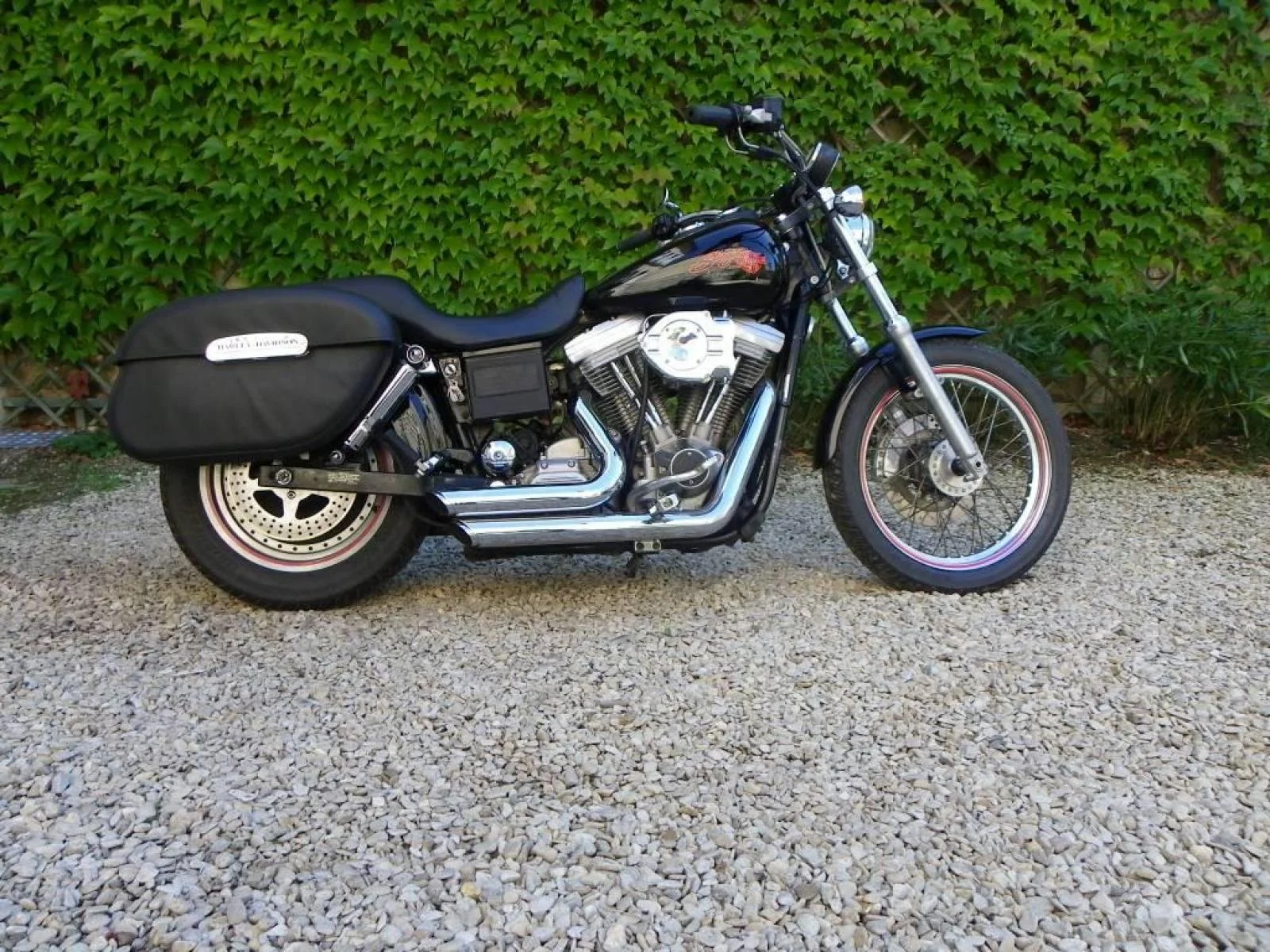 Harley-Davidson 1340 Softail Custom