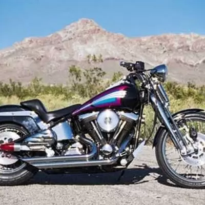 Thumbnail for Harley-Davidson 1340 Softail Springer 1993