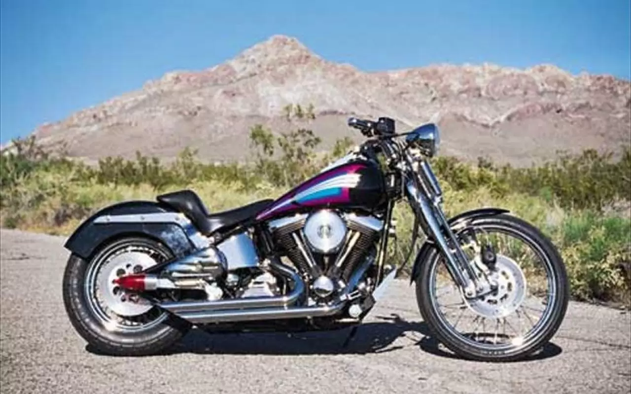 Thumbnail for Harley-Davidson 1340 Softail Springer 1994