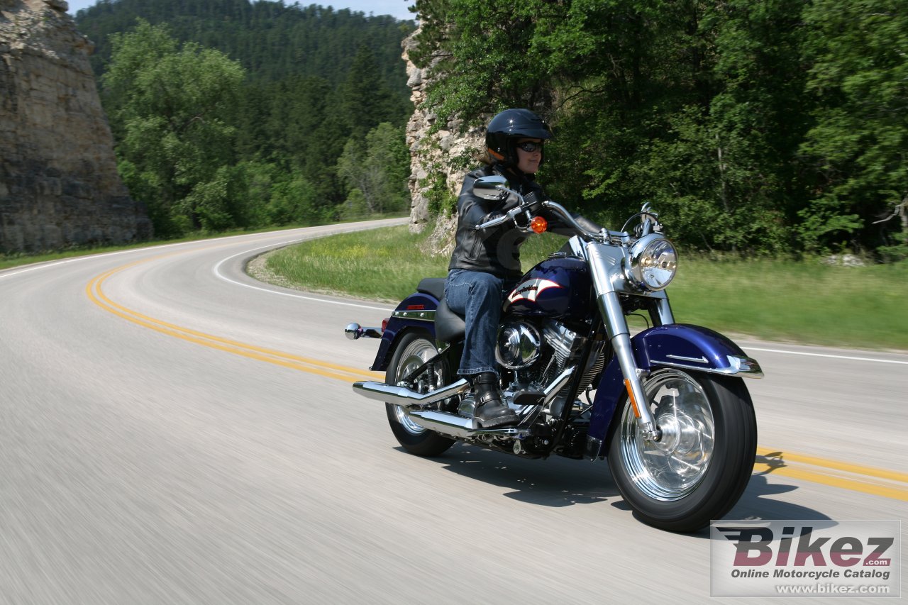 Thumbnail for Harley-Davidson FLSTI Heritage Softail 2006