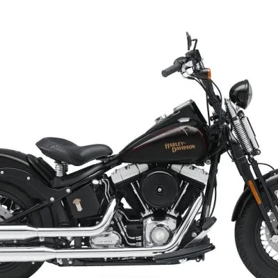 Thumbnail for Harley-Davidson FLSTSB Softail Cross Bones 2008