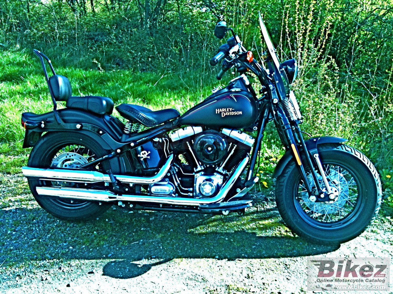 Thumbnail for Harley-Davidson FLSTSB Softail Cross Bones 2009