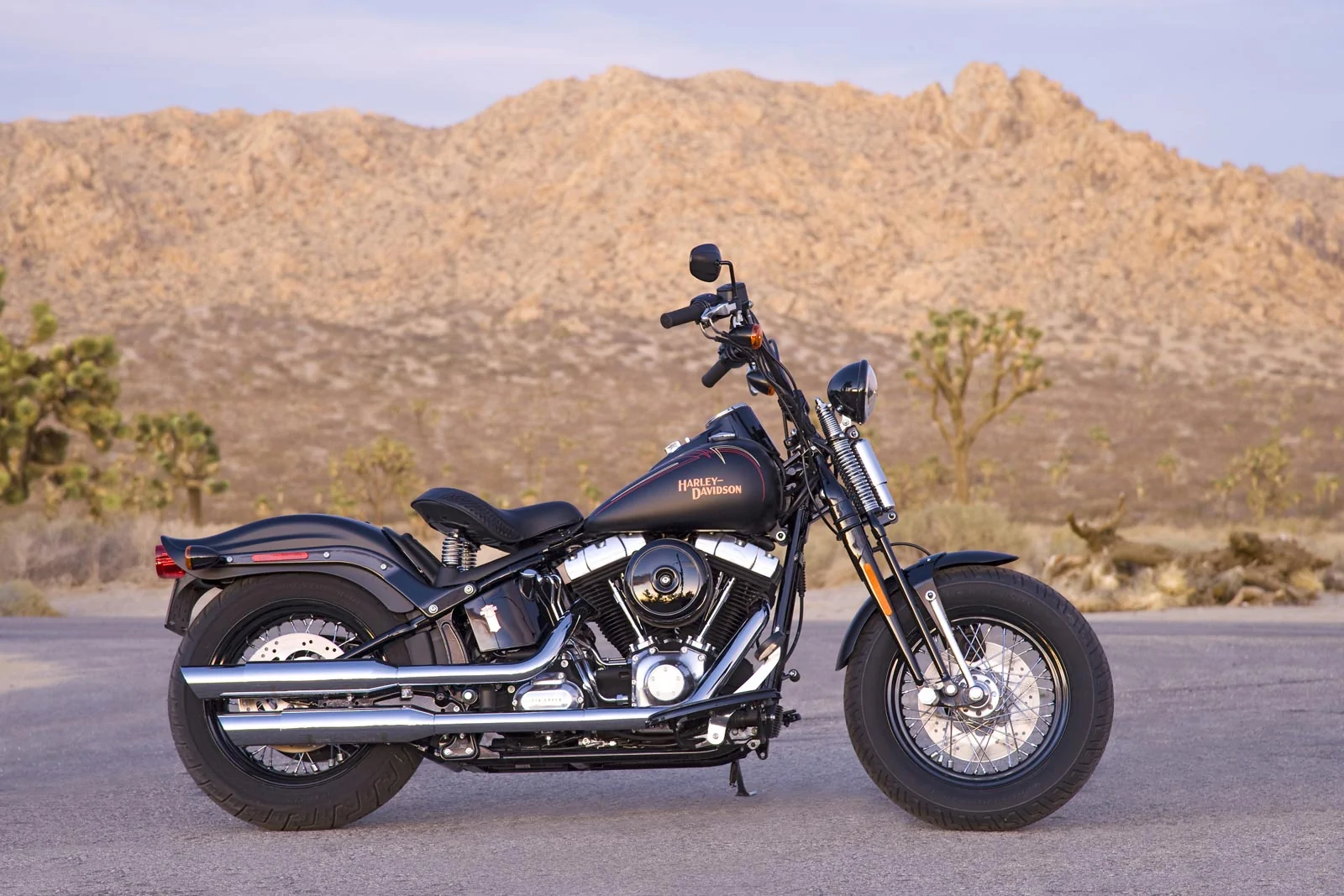 Thumbnail for Harley-Davidson FLSTSB Softail Cross Bones 2011
