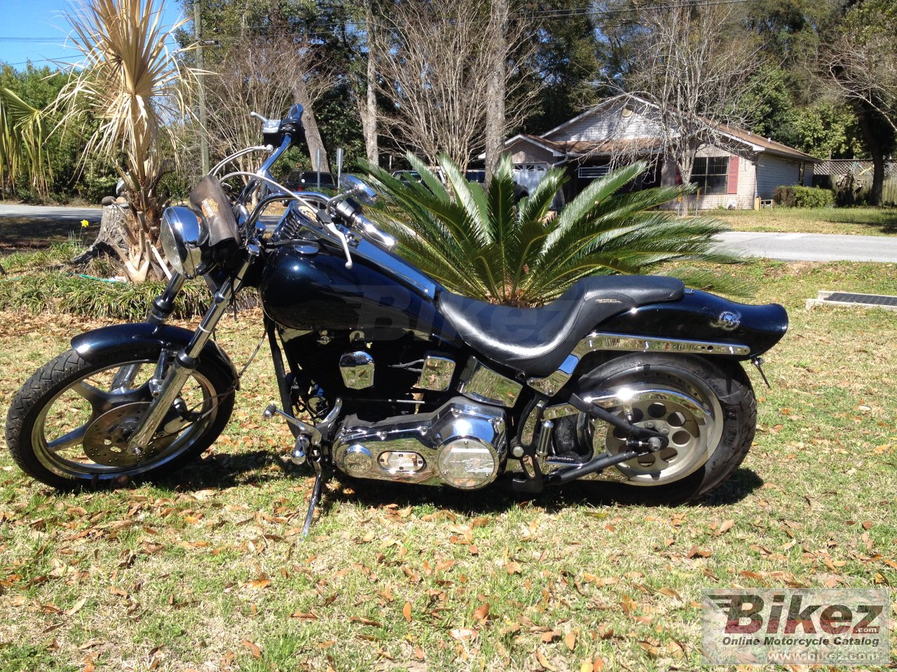 Thumbnail for Harley-Davidson FXSTC 1340 Softail Custom 1992