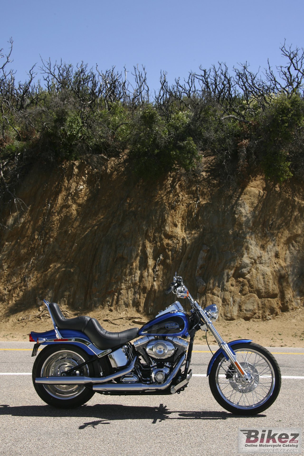 Thumbnail for Harley-Davidson FXSTC Softail Custom 2008