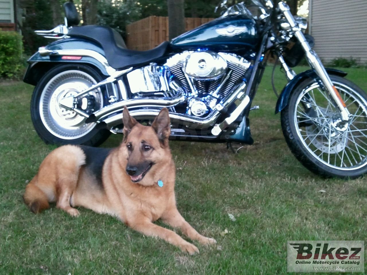 Thumbnail for Harley-Davidson FXSTD Softail Deuce 2003