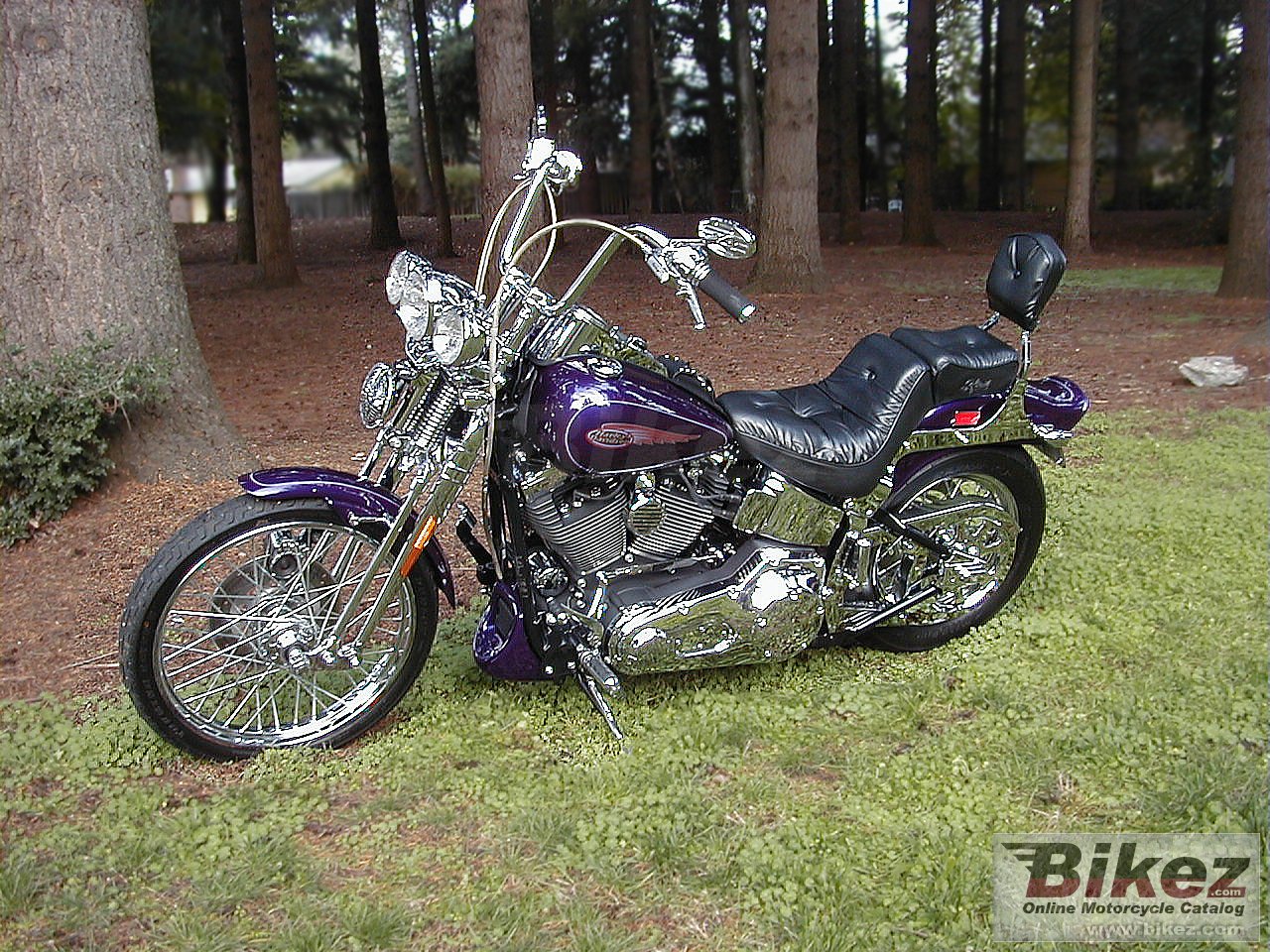 Thumbnail for Harley-Davidson FXSTS Springer Softail 2000