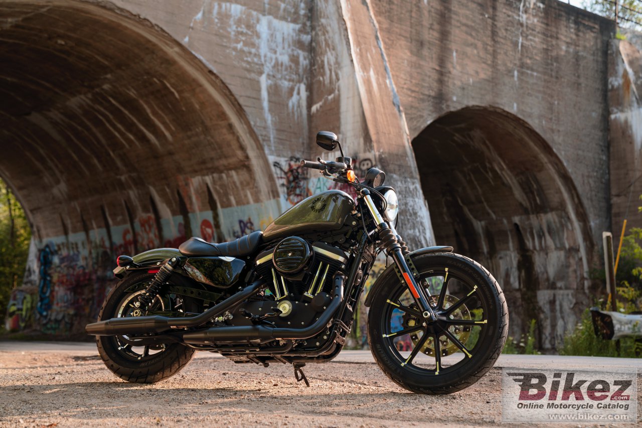 Thumbnail for Harley-Davidson Iron 883 2021