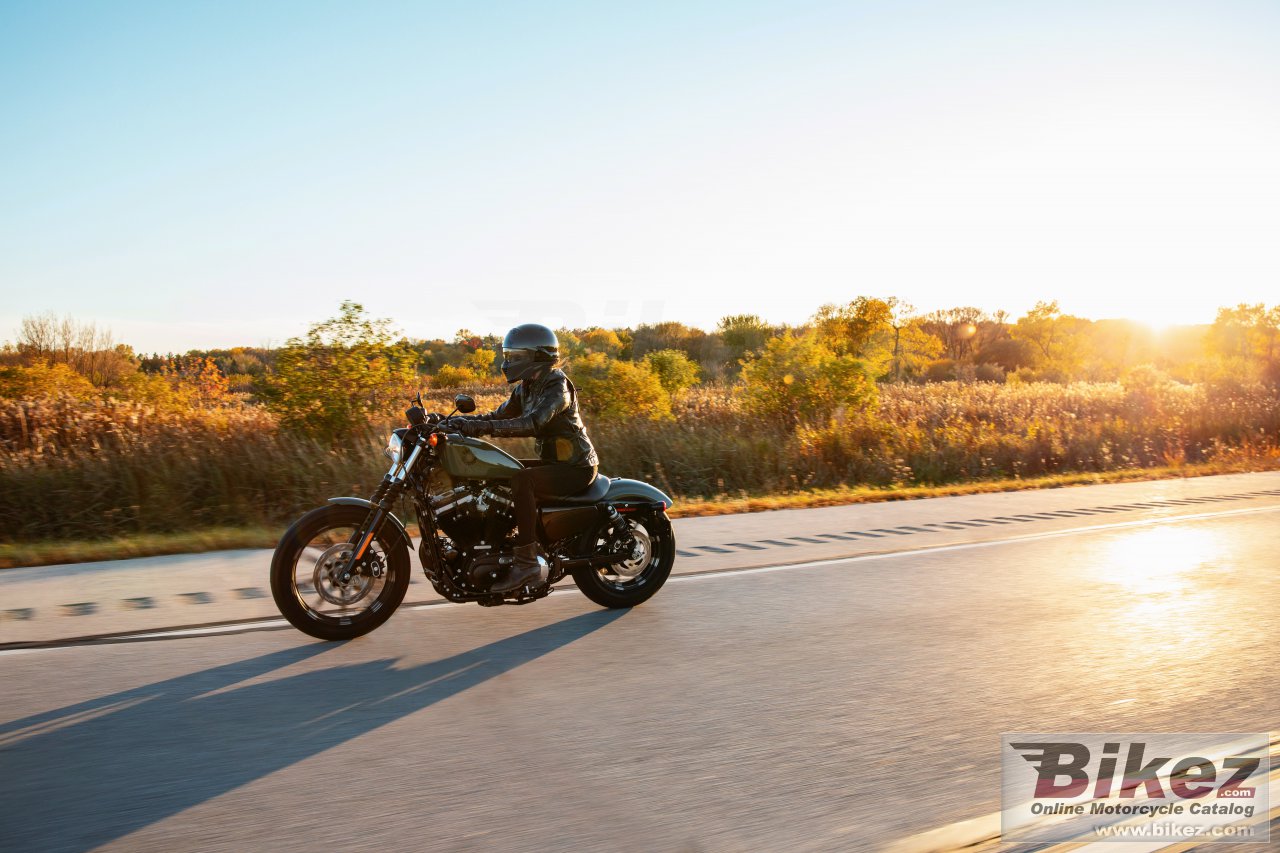 Thumbnail for Harley-Davidson Iron 883 2021