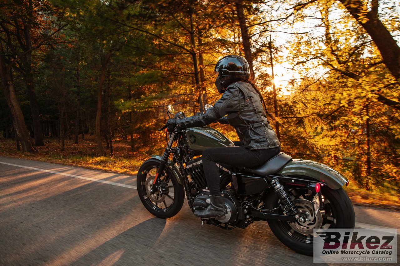 Thumbnail for Harley-Davidson Iron 883 2021