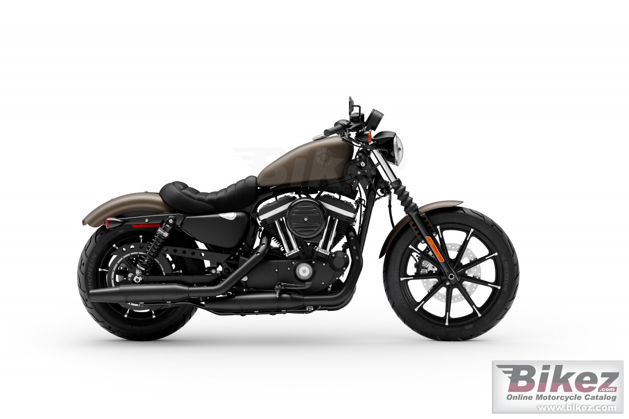 Thumbnail for Harley-Davidson Iron 883 2021