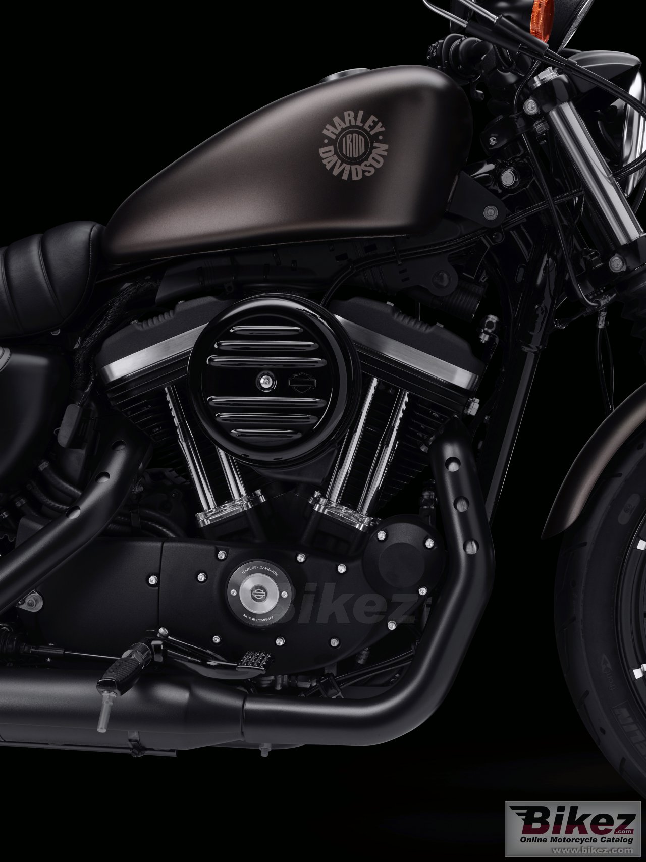 Thumbnail for Harley-Davidson Iron 883 2021