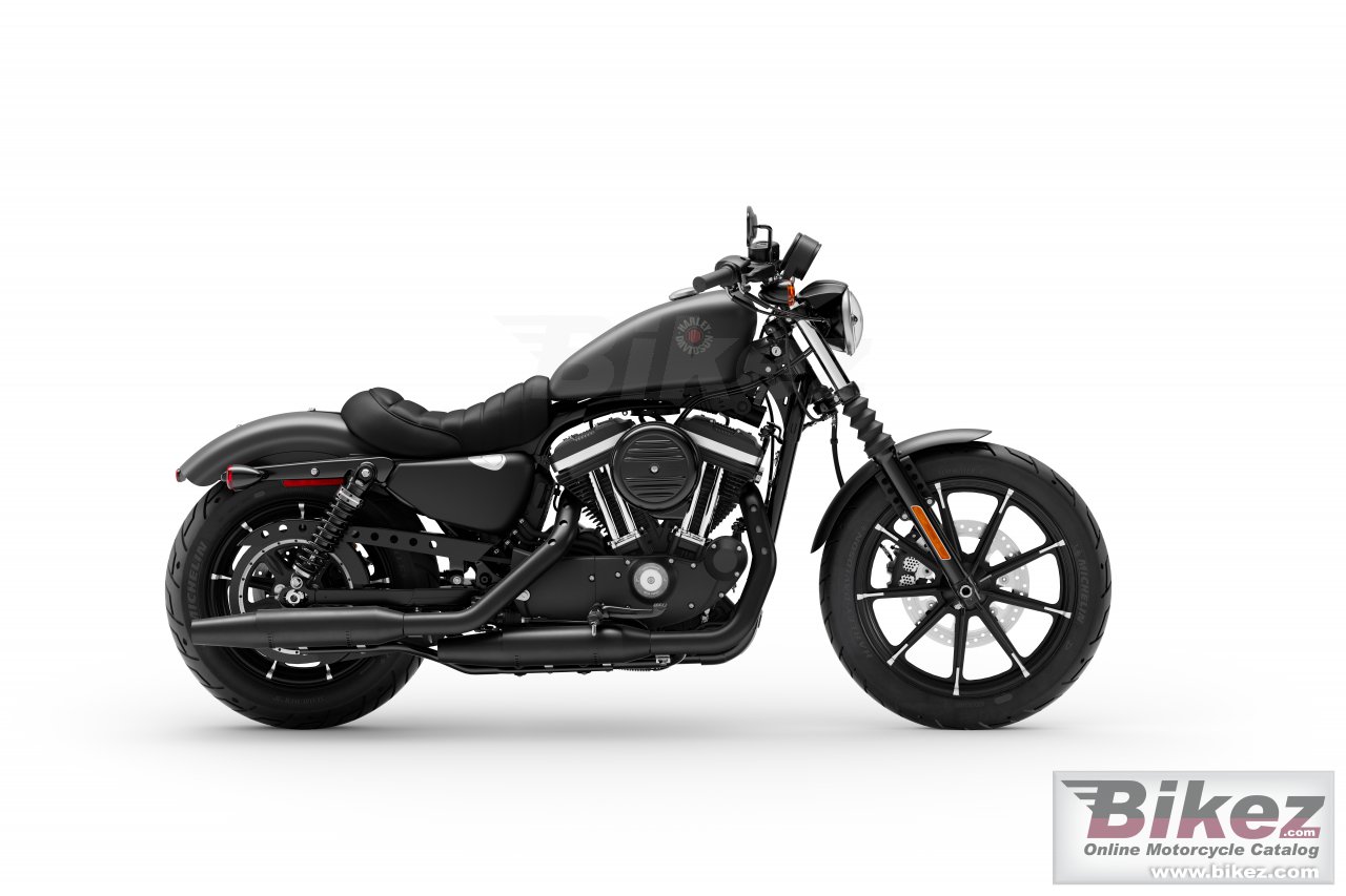 Thumbnail for Harley-Davidson Iron 883 2021
