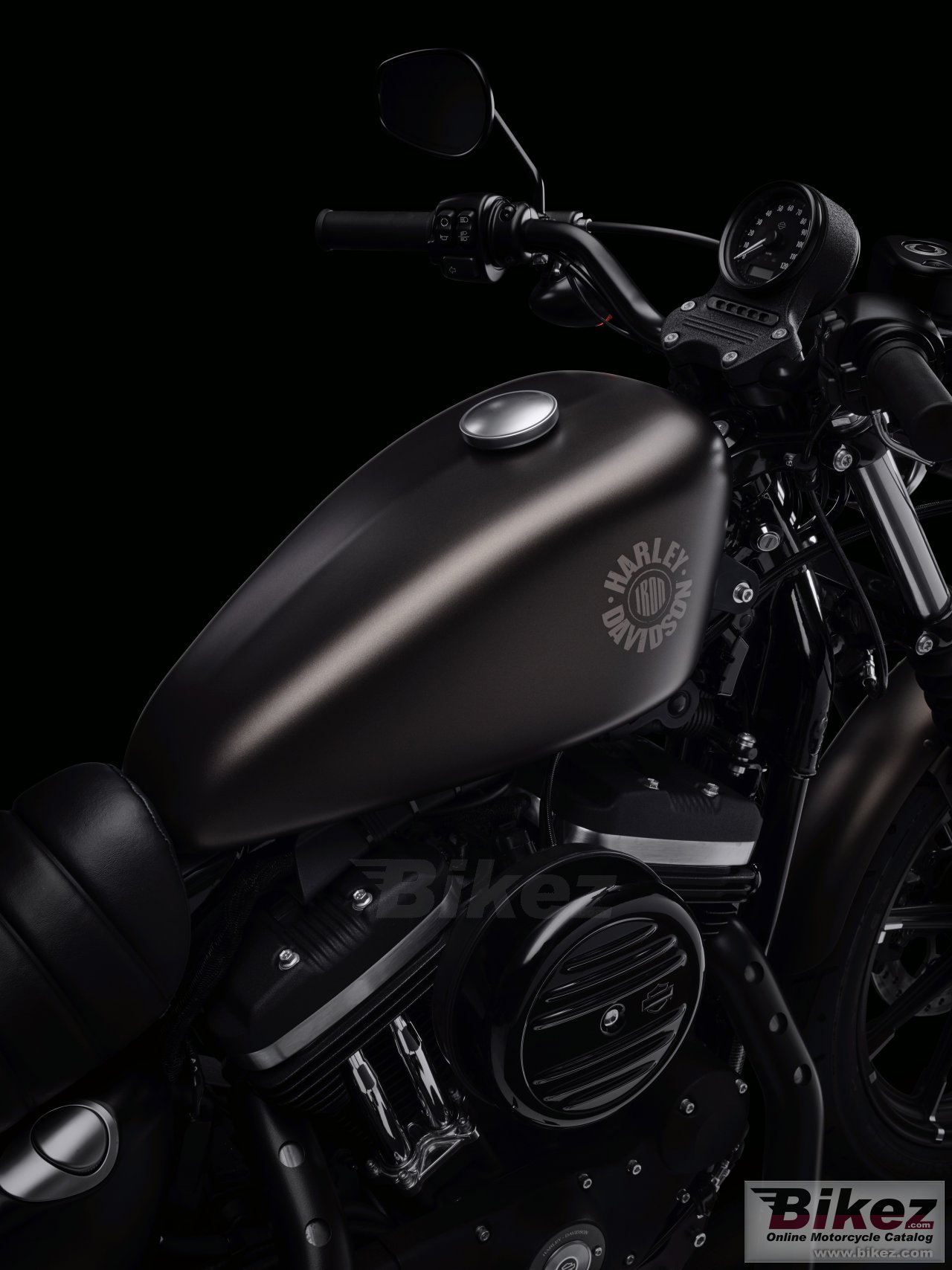Thumbnail for Harley-Davidson Iron 883 2021